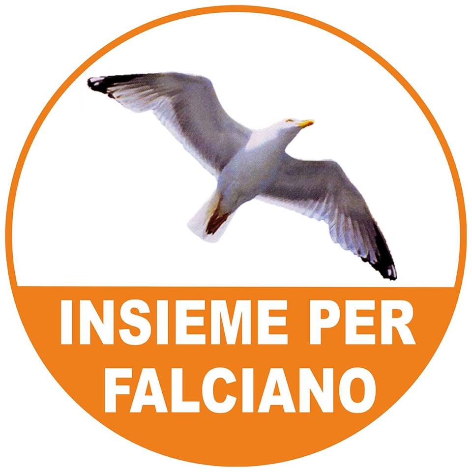 Lista N. 3 Insieme per Falciano